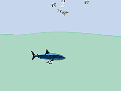 Scoregge di squalo