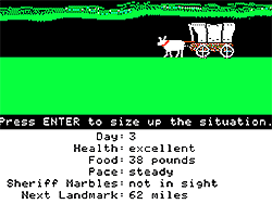 Oregon Trail: Run for Your Life
